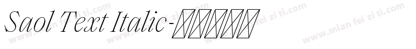 Saol Text Italic字体转换